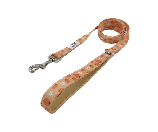 Dog Walking Leash - Blossom Berry